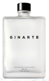 GINARTE